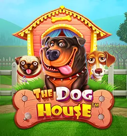 kunkku dog house
